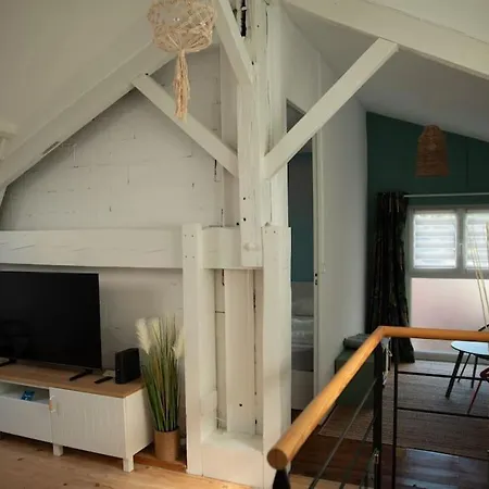 Daire L'oasis Maisonnette Arcachon